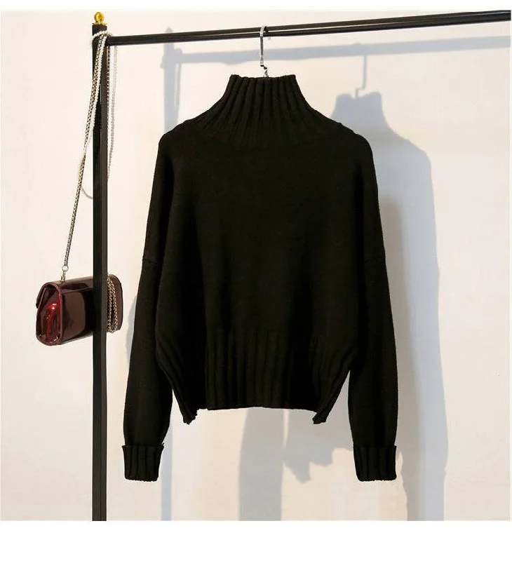 Turtleneck pullover